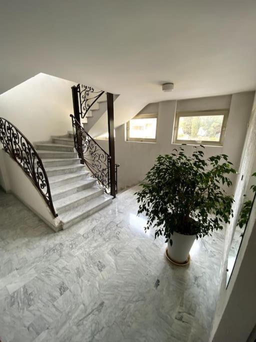 Logement Cosy, Situe Entre Ciel Et Mer Ванс Екстер'єр фото