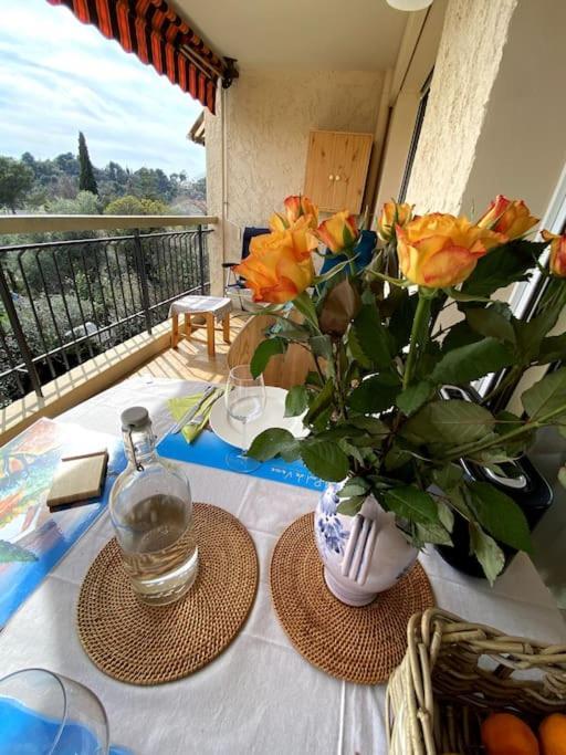 Logement Cosy, Situe Entre Ciel Et Mer Ванс Екстер'єр фото